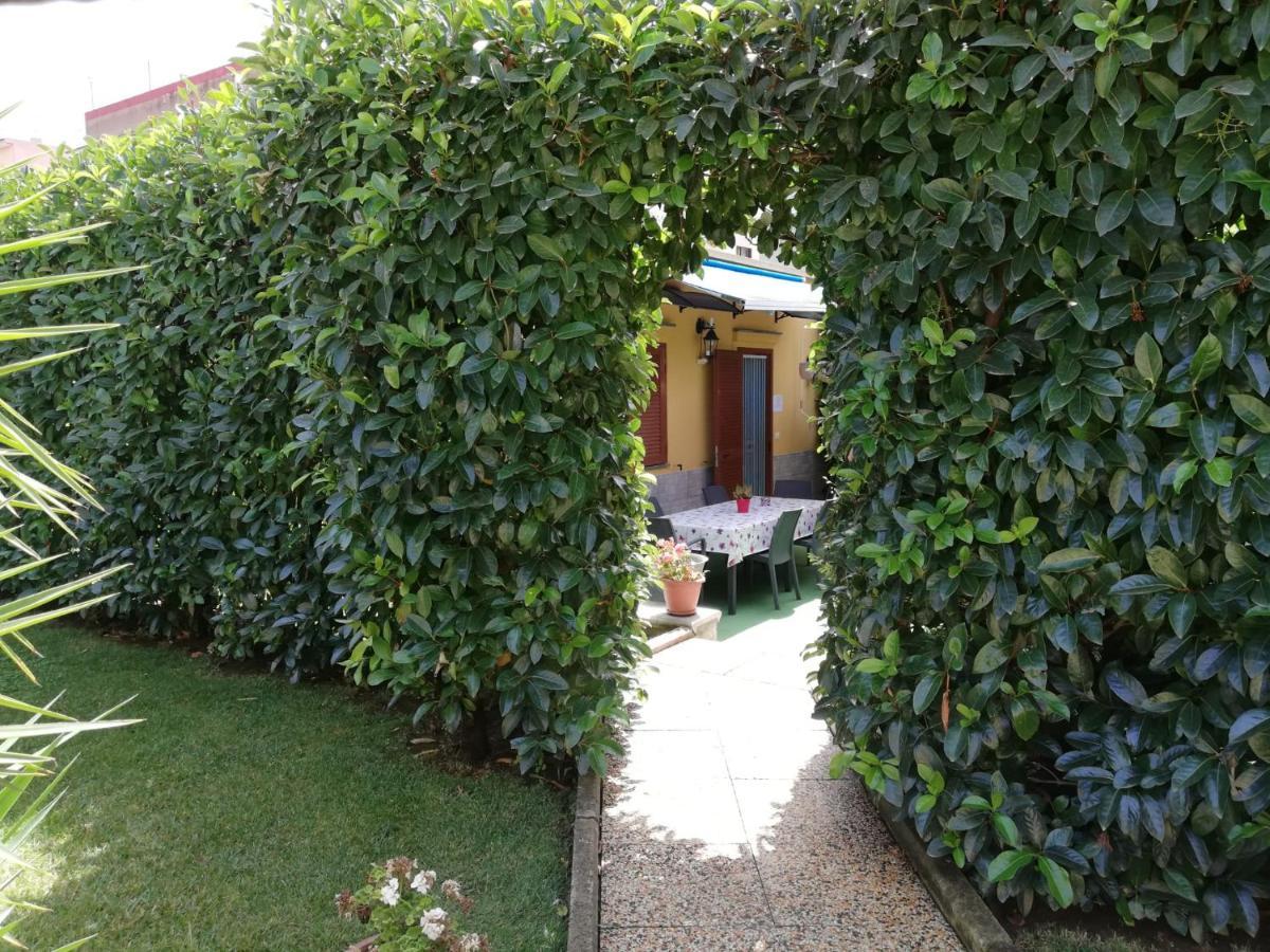 Depandance Con Piscina In Uso In Esclusivo In B&B SantʼAntonio Abate Exteriör bild